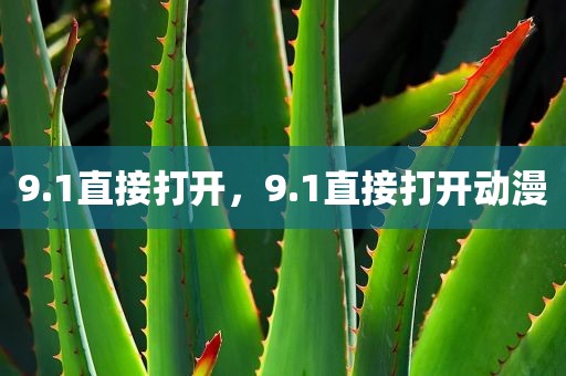9.1直接打开，9.1直接打开动漫