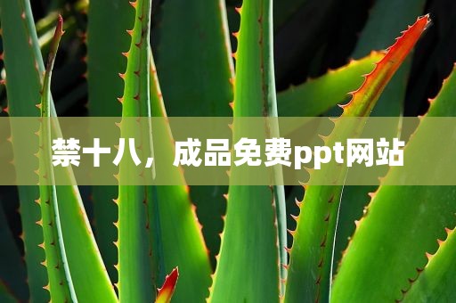 禁十八，成品免费ppt网站