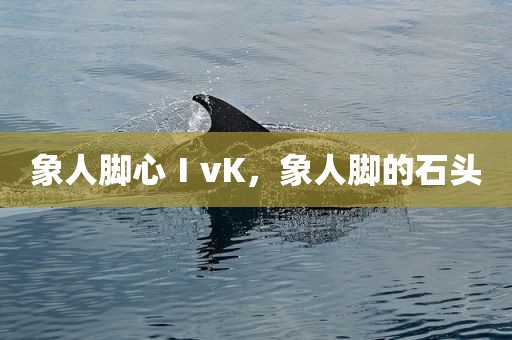 象人脚心ⅠvK，象人脚的石头