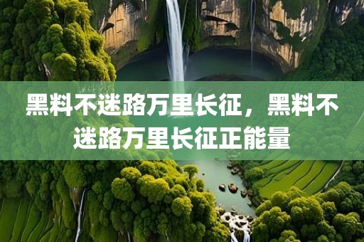 黑料不迷路万里长征，黑料不迷路万里长征正能量