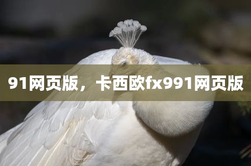 91网页版，卡西欧fx991网页版