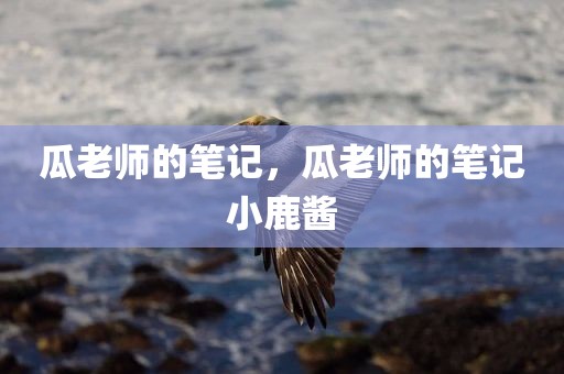 瓜老师的笔记，瓜老师的笔记小鹿酱