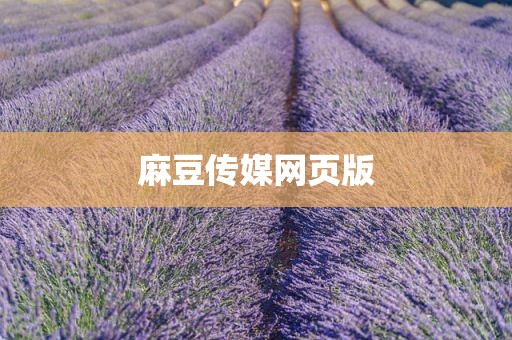 麻豆传媒网页版