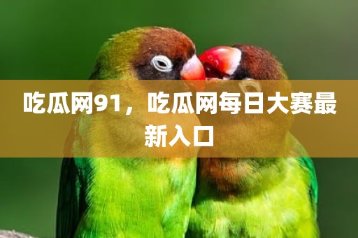 吃瓜网91，吃瓜网每日大赛最新入口