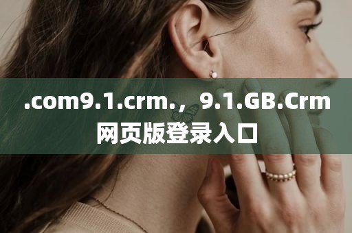 .com9.1.crm.，9.1.GB.Crm网页版登录入口