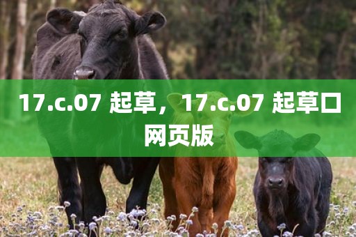17.c.07 起草，17.c.07 起草口网页版