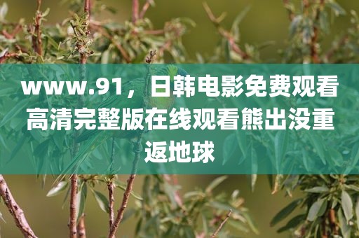 www.91，日韩电影免费观看高清完整版在线观看熊出没重返地球