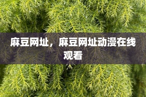 麻豆网址，麻豆网址动漫在线观看