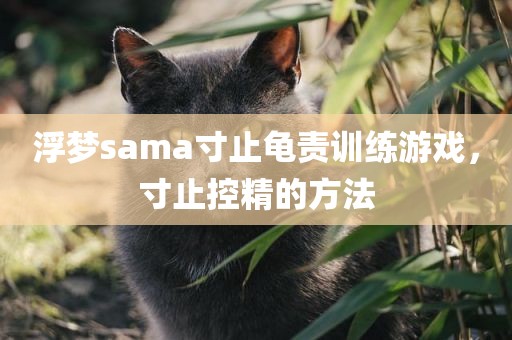 浮梦sama寸止龟责训练游戏，寸止控精的方法