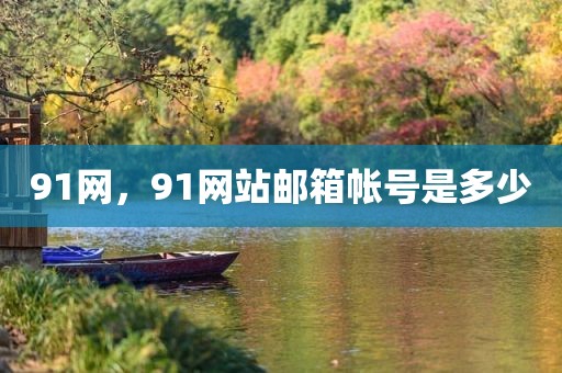 91网，91网站邮箱帐号是多少