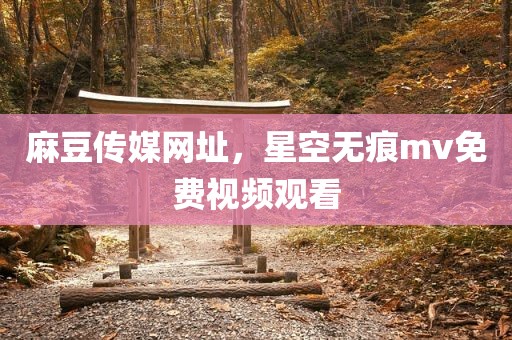 麻豆传媒网址，星空无痕mv免费视频观看