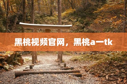 黑桃视频官网，黑桃a一tk