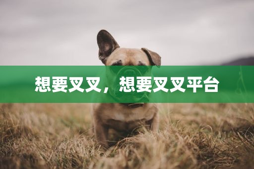 想要叉叉，想要叉叉平台