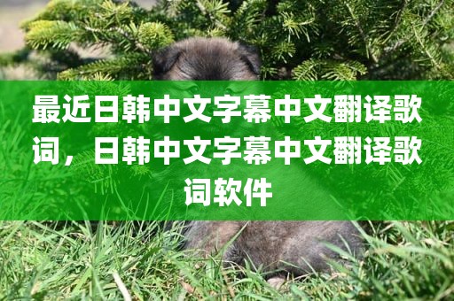 最近日韩中文字幕中文翻译歌词，日韩中文字幕中文翻译歌词软件