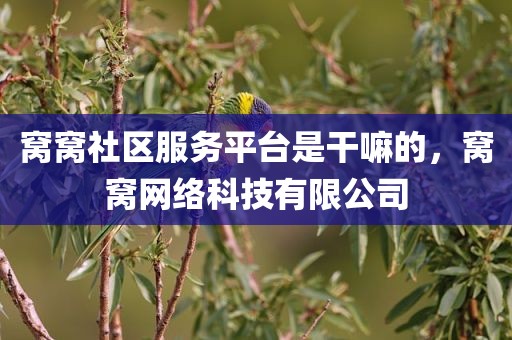 窝窝社区服务平台是干嘛的，窝窝网络科技有限公司