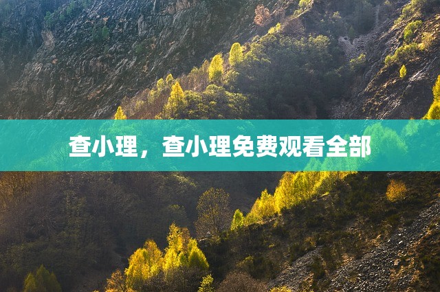 查小理，查小理免费观看全部