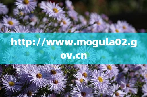 http://www.mogula02.gov.cn