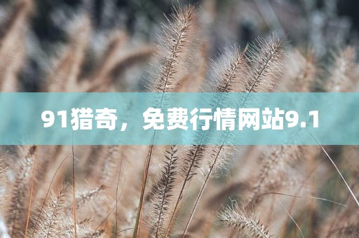 91猎奇，免费行情网站9.1