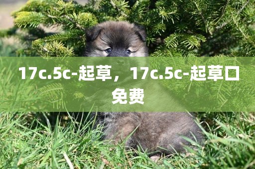 17c.5c-起草，17c.5c-起草口免费