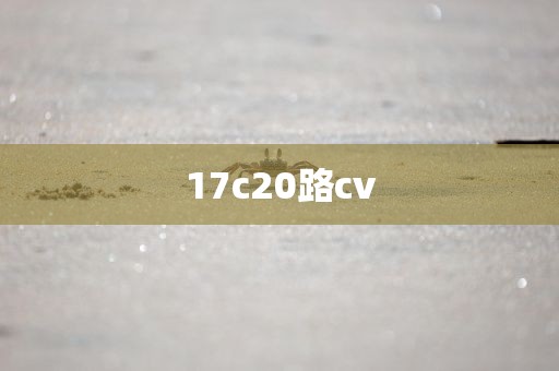 17c20路cv