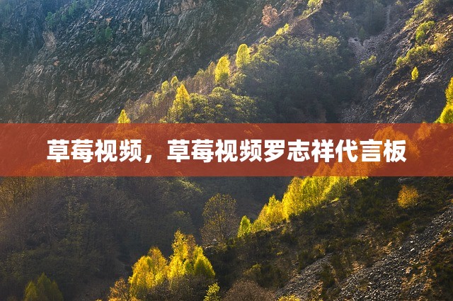 草莓视频，草莓视频罗志祥代言板