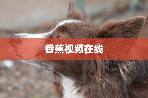 香蕉视频在线