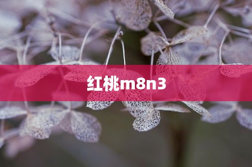 红桃m8n3