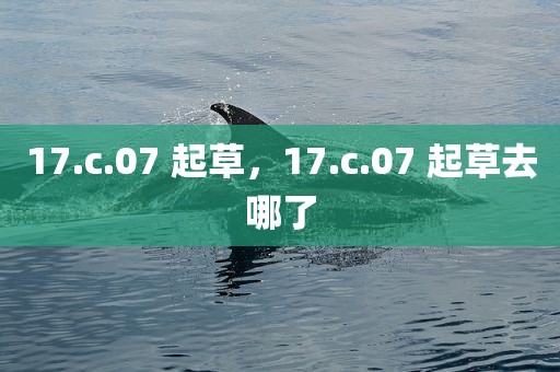 17.c.07 起草，17.c.07 起草去哪了