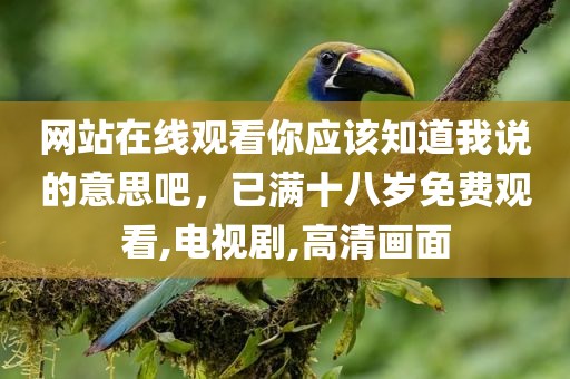 网站在线观看你应该知道我说的意思吧，已满十八岁免费观看,电视剧,高清画面