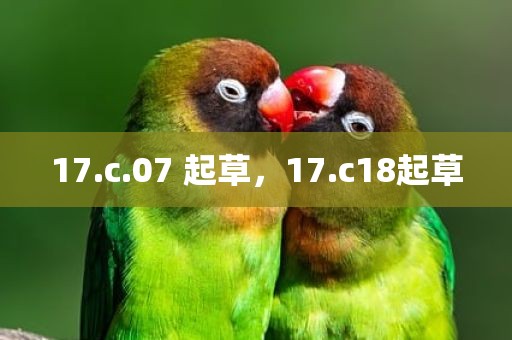 17.c.07 起草，17.c18起草