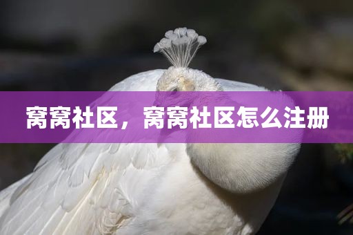 窝窝社区，窝窝社区怎么注册