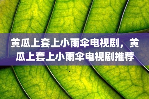 黄瓜上套上小雨伞电视剧，黄瓜上套上小雨伞电视剧推荐