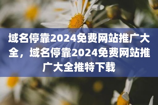 域名停靠2024免费网站推广大全，域名停靠2024免费网站推广大全推特下载