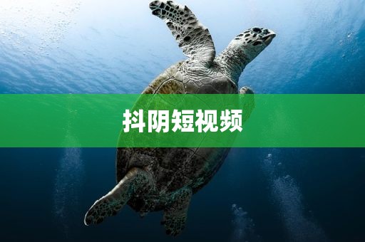 抖阴短视频