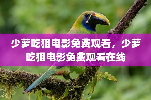 少萝吃狙电影免费观看，少萝吃狙电影免费观看在线