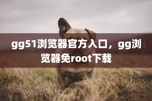 gg51浏览器官方入口，gg浏览器免root下载