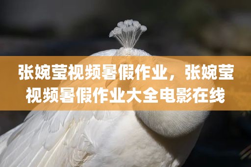 张婉莹视频暑假作业，张婉莹视频暑假作业大全电影在线
