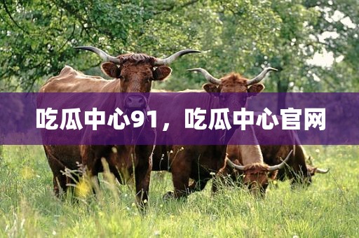 吃瓜中心91，吃瓜中心官网