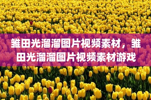 雏田光溜溜图片视频素材，雏田光溜溜图片视频素材游戏