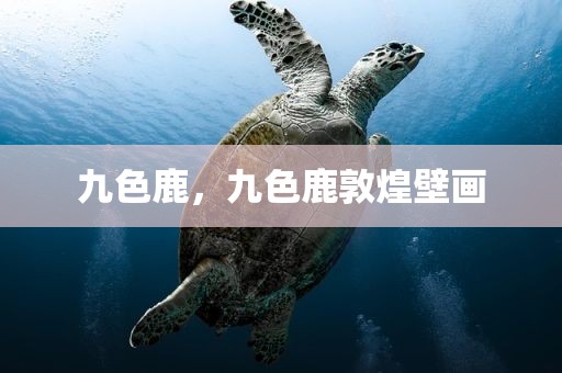 九色鹿，九色鹿敦煌壁画
