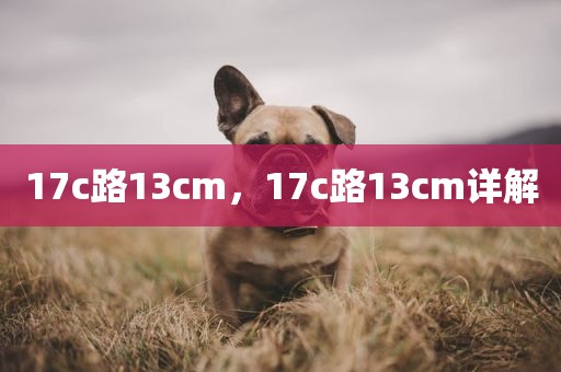 17c路13cm，17c路13cm详解