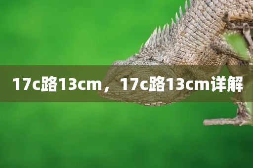 17c路13cm，17c路13cm详解