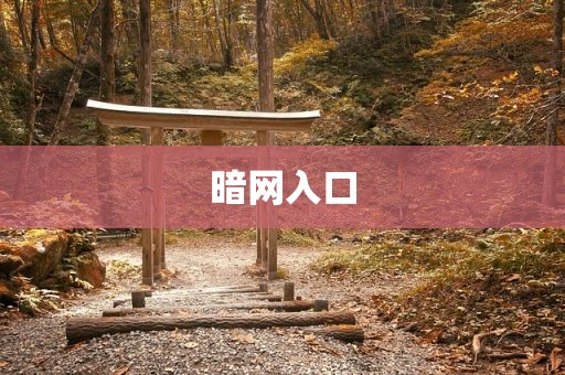 暗网入口