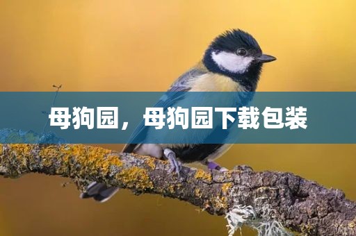 母狗园，母狗园下载包装