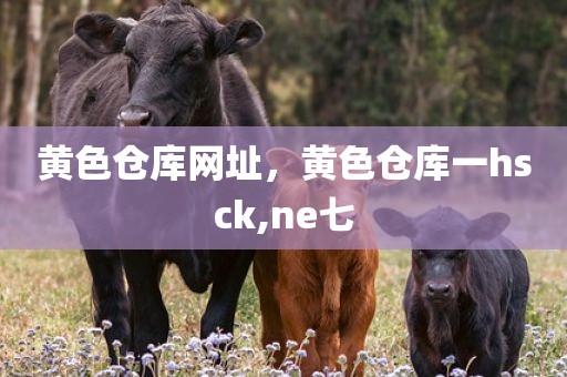 黄色仓库网址，黄色仓库一hsck,ne七