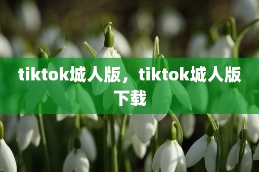 tiktok城人版，tiktok城人版下载