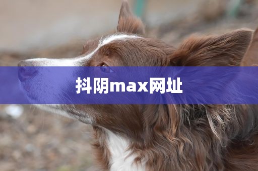 抖阴max网址