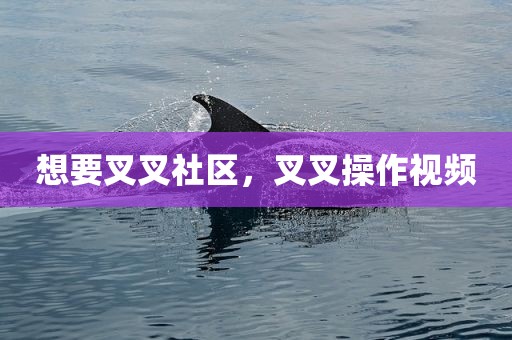 想要叉叉社区，叉叉操作视频