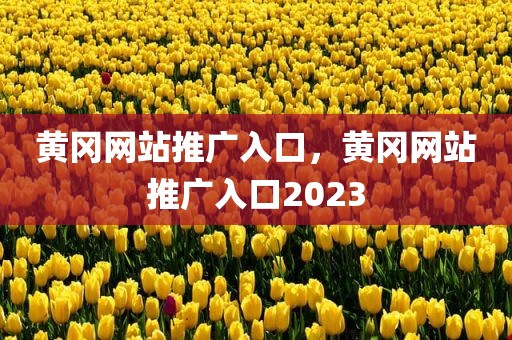 黄冈网站推广入口，黄冈网站推广入口2023
