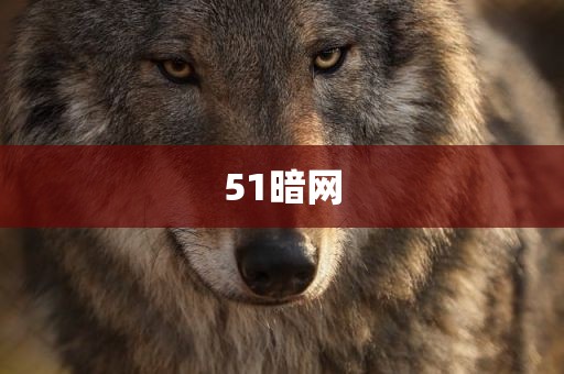 51暗网